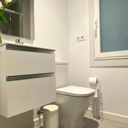 Estudio A Estrenar Totalmente Nuevo En Camelias. * Vigo