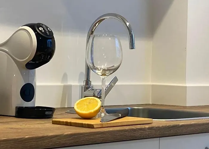 Estudio A Estrenar Totalmente Nuevo En Camelias. *